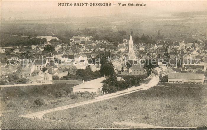 Nuits-Saint-Georges Vue generale