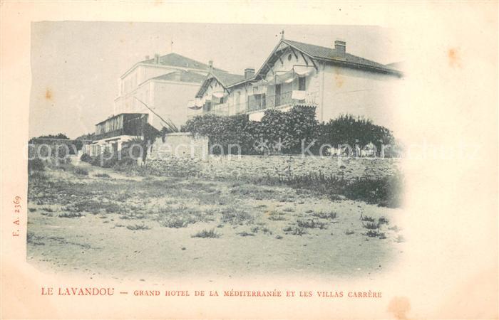 Le Lavandou Grand Hotel de la mediterranee et les Villas Carrere
