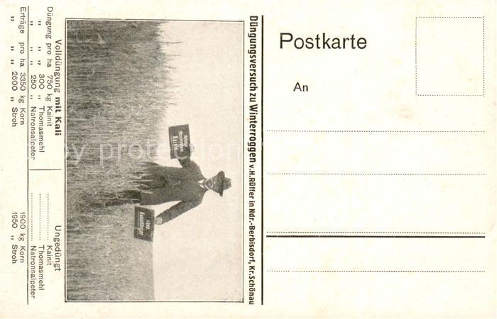 Jelenia Gora Hirschberg Schlesien Duengungsversuch zu Winterroggen