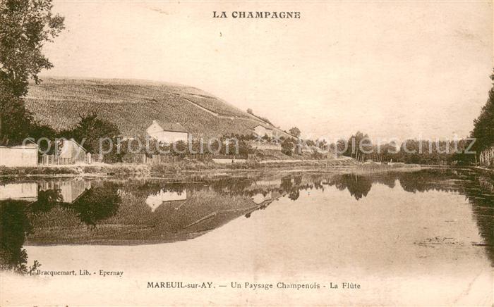 Mareuil-sur-Ay Un Paysage Champenois La Flute