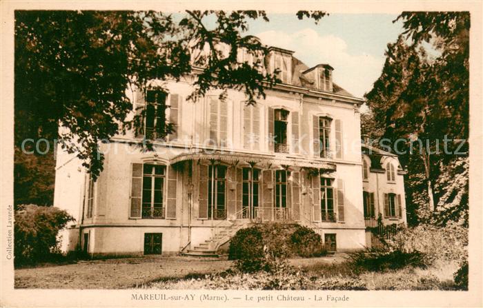Mareuil-sur-Ay Le petit Chateau La Facade