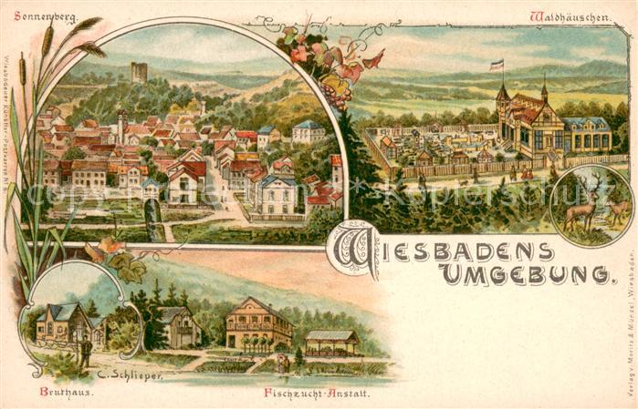 Wiesbaden Sonnenberg Waldhaeuschen Bruthaus Fischzucht Anstalt