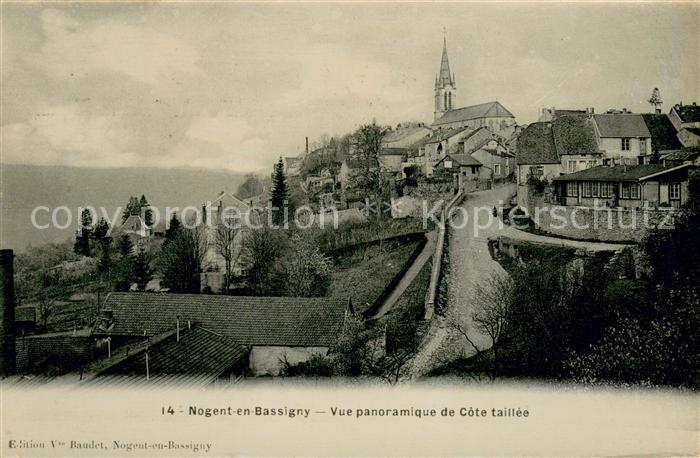 Nogent en Bassigny Vue panoramique de Cote taillee