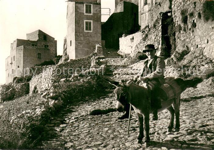 Bastia Type Corse