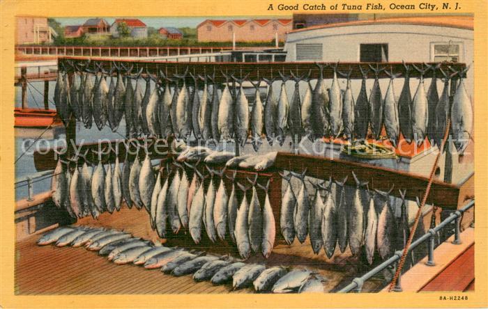 Ocean City New Jersey A Good Catch of Tuna Fish