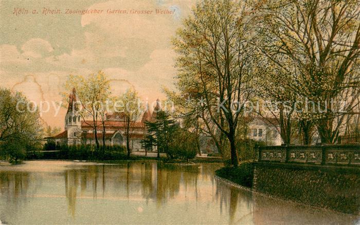Koeln Rhein Zoologischer Garten Grosser Weiher