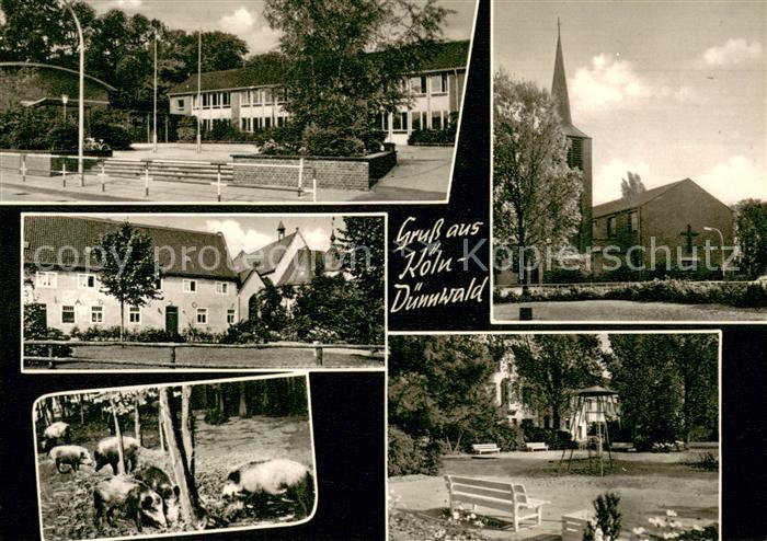 Duennwald Teilansichten Kirche Wildpark