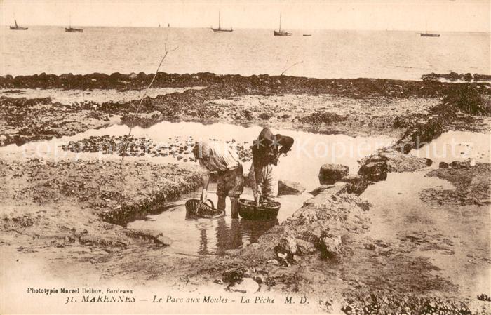 Marennes Charente-Maritime Le Parc aux Moules La Peche