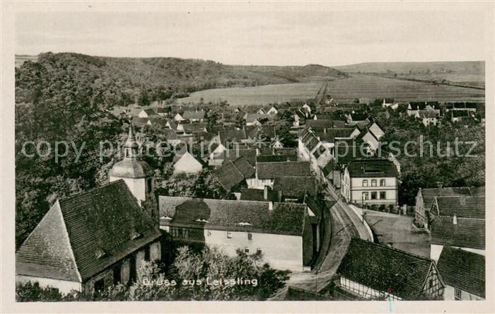 Leissling Panorama