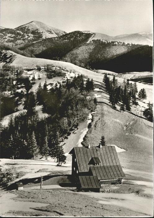 Borisovhuette atra