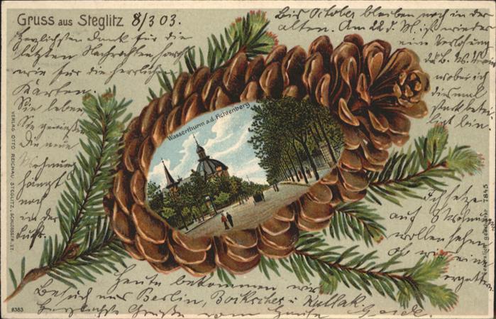 Steglitz Tannenzapfen Wasserthurm Fichtenberg