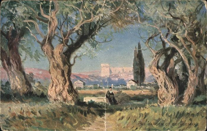 Jerusalem Yerushalayim Jerusalem Garden Gethsemane