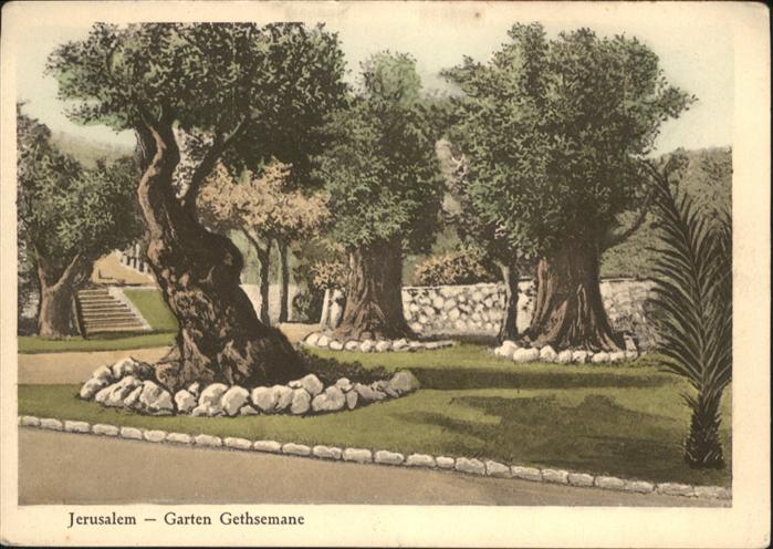 Jerusalem Yerushalayim Jerusalem Garten Gethsemane