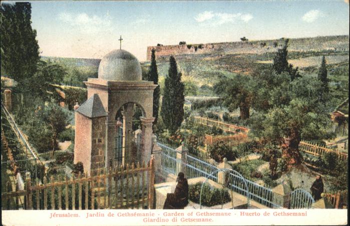 Jerusalem Yerushalayim Jerusalem Jardin Gethsemanie Garden Gethsemane Huerto Gia