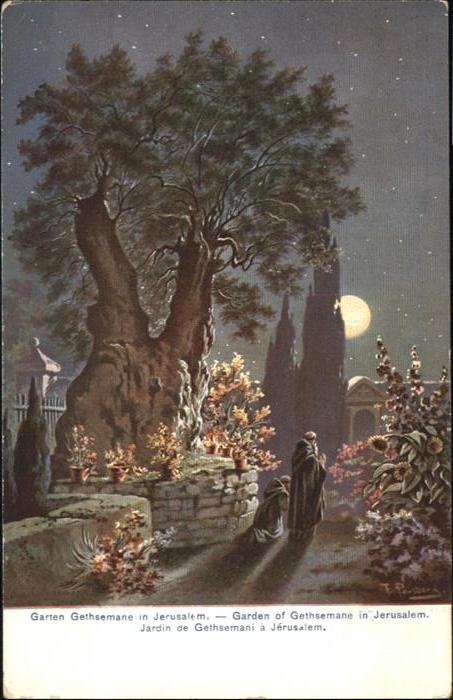 Jerusalem Yerushalayim Jerusalem Garten Gethsemane Garden Jardin Kuenstler F. Pe