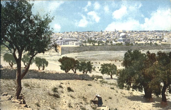 Jerusalem Yerushalayim Jerusalem Olivet Oelberg Mont Oliviers