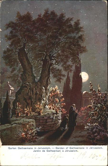Jerusalem Yerushalayim Jerusalem Garten Gethsemane Garden Jardin Kuenstler F. Pe