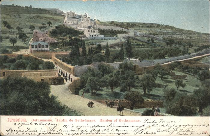 Jerusalem Yerushalayim Jerusalem Gethemane Jardin Garden