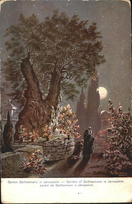 Jerusalem Yerushalayim Jerusalem Garten Gethsemane Garden Jardin Kuenstler F. Pe