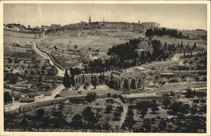 Jerusalem Yerushalayim Jerusalem Garden Gethsemane Mount Olivers