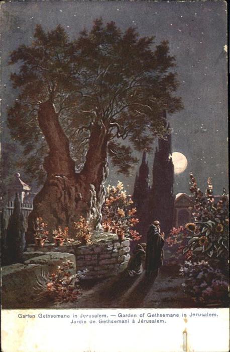Jerusalem Yerushalayim Jerusalem Garten Gethemane Garden Jardin Kuenstler F. Per