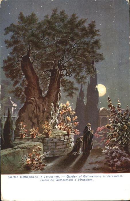 Jerusalem Yerushalayim Jerusalem Garten Gethsemane Garden Jardin Kuenstler F. Pe