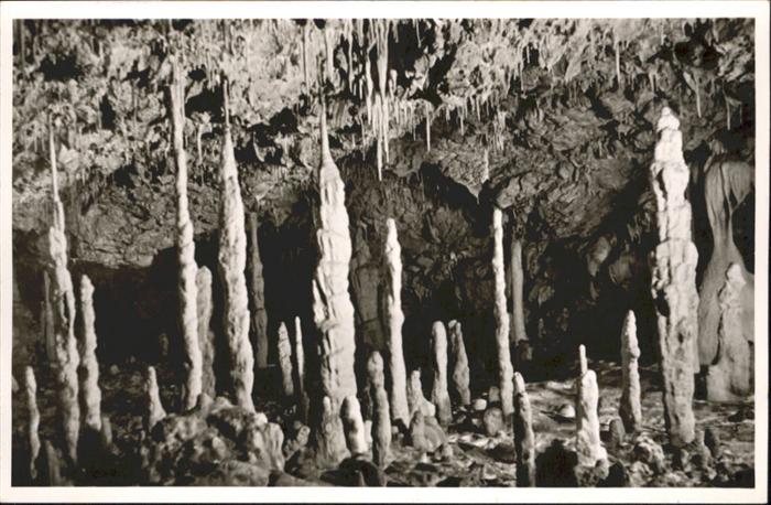 Hoehlen Caves Grottes Tropfsteinhöhle Bärenhöhle Karlshöhle E