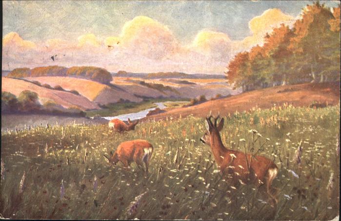 Tiere Rehe