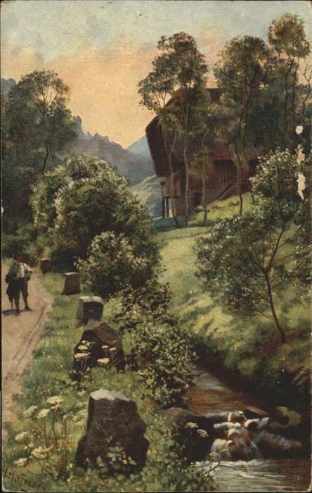 Hoffmann Heinrich Schwarzwald