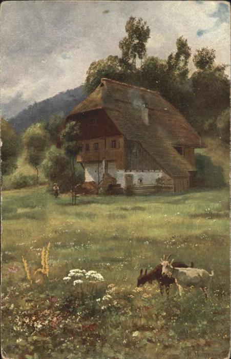 Hoffmann Heinrich Wiesengrund Schwarzwaldhaus