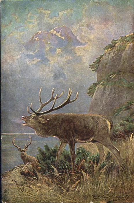 Kuenstlerkarte Moritz Müller Hirsche