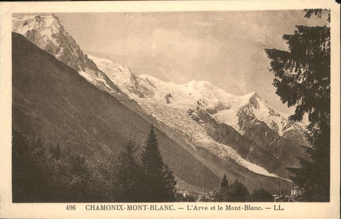 Chamonix L'Arve et le Mont-Blanc
