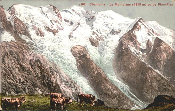 Chamonix Le Montblanc