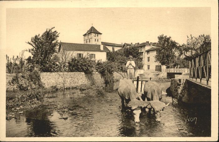 Espelette Attelage basque Basses-Pyrenees