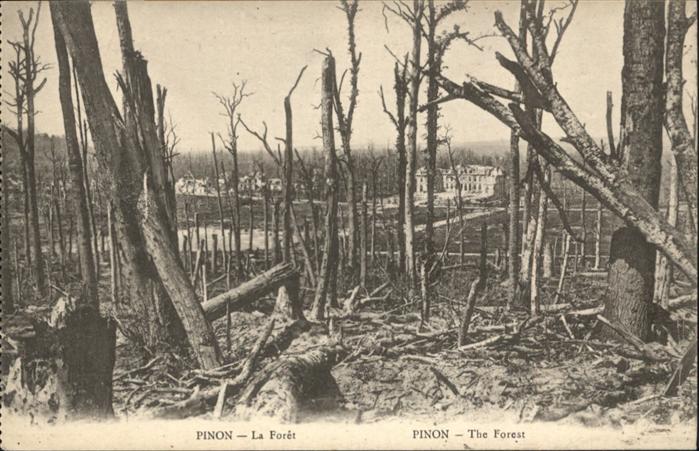 Pinon La Foret