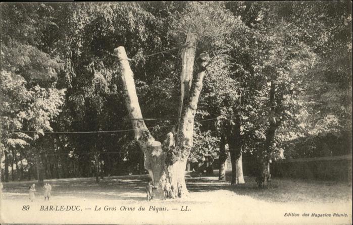 Bar-le-Duc Orme Paquis