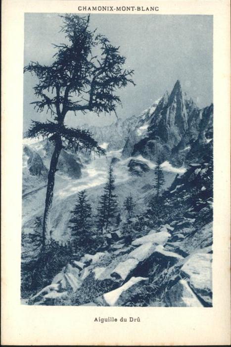 Chamonix Mont Blanc Aiguille du Dru