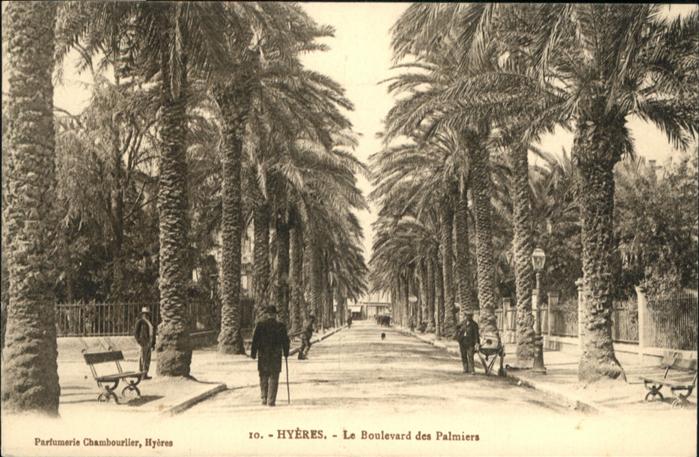 Hyeres Boulevard des Palmes