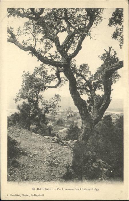 Saint-Raphael Var Chenes Liege