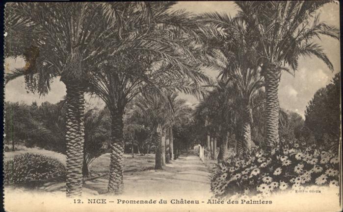 Nice Alpes Maritimes Promenade Chateau Allee Palmiers