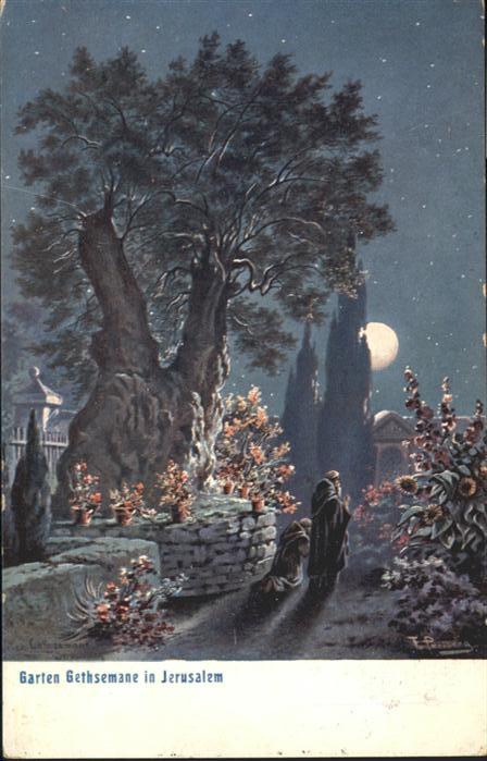 Jerusalem Yerushalayim Garten Gethsemane