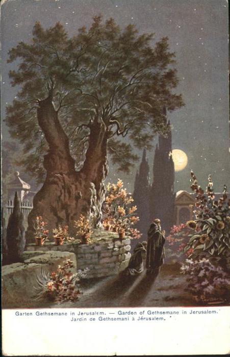 Jerusalem Yerushalayim Garden of Gethsemane