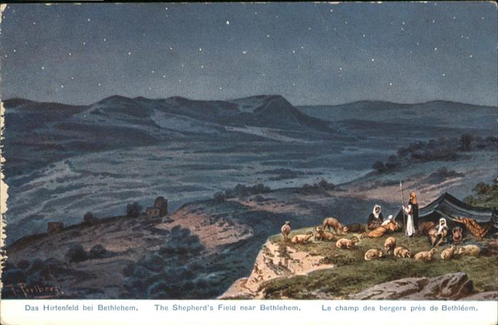 Bethelehem Shepherds Hirtenfeld Schafe