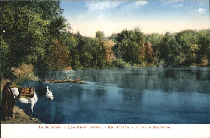 River Jordan Pferd