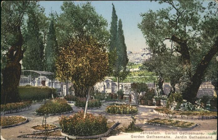 Jerusalem Yerushalayim Gaten Gethsemane