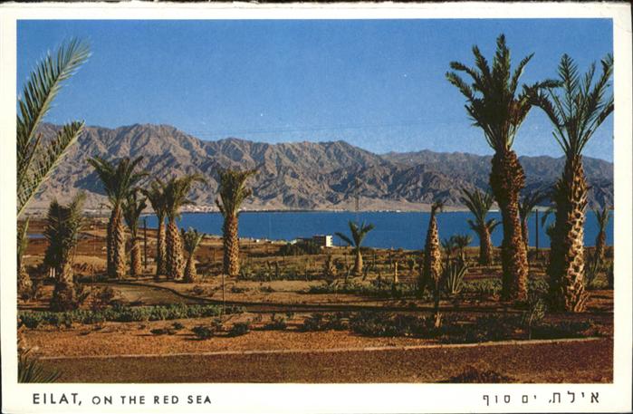 Eilat Eilath Israel Red Sea