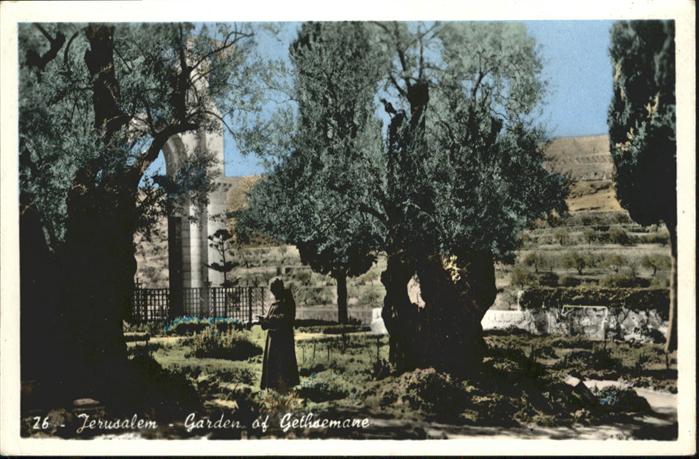 Jerusalem Yerushalayim Garden of Gethsemane