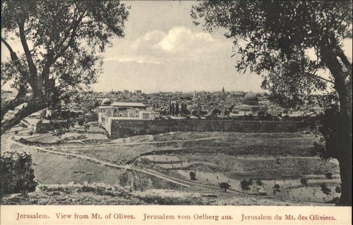 Jerusalem Yerushalayim From Olives