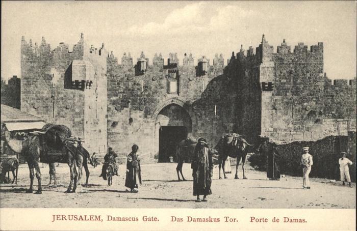 Jerusalem Yerushalayim Damascus Gate Kamel Esel