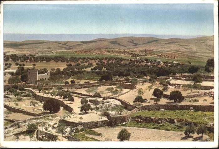 Bethlehem Yerushalayim Towards Desert Shepherds